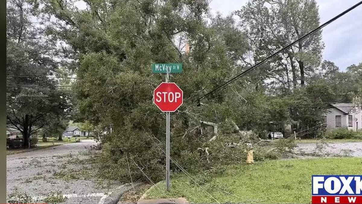 Trees, power lines down on McVay Drive in Mobile | Haystack News