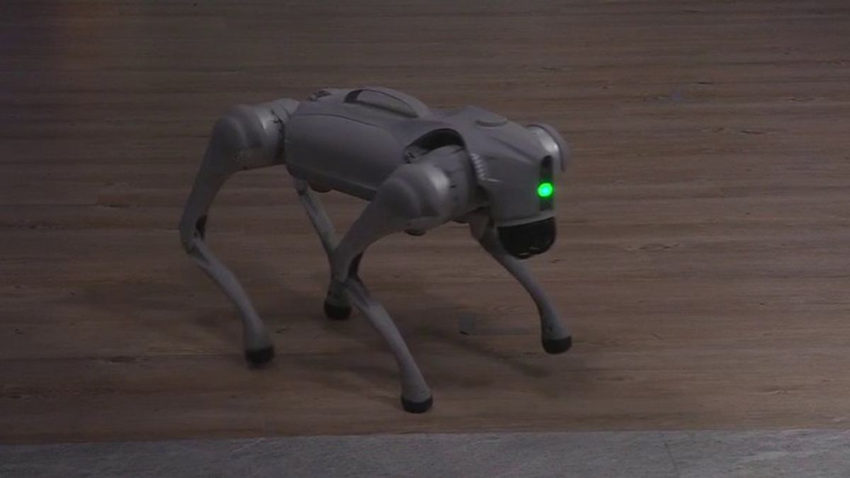 Bedrock tests robot dogs in Downtown Detroit | Haystack News