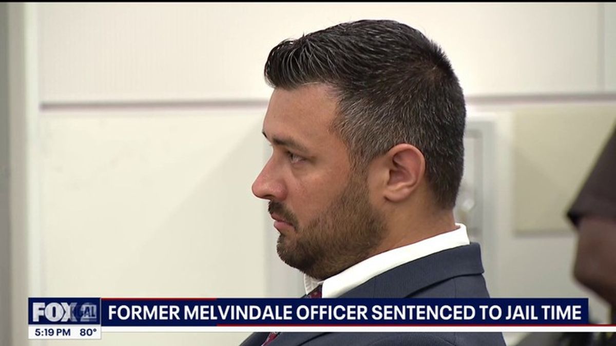 Ex-Melvindale police officer sentenced to jail in excessive force cases ...
