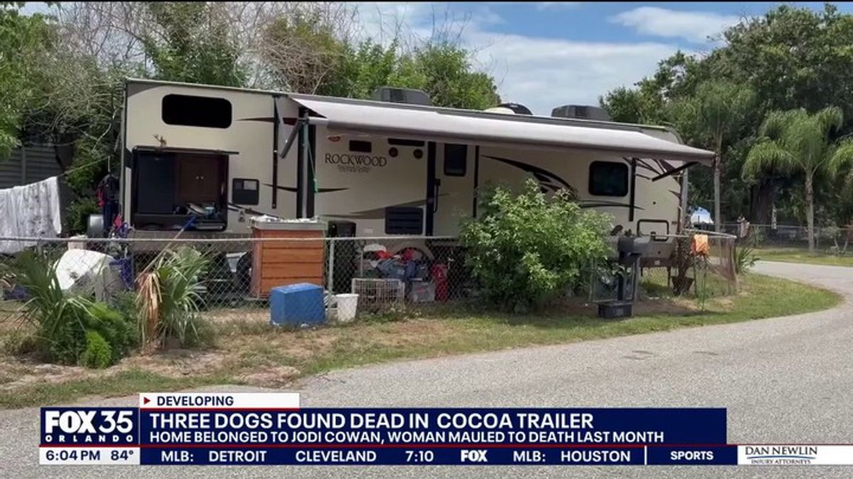 3 dogs found dead inside home linked to deadly mauling | Haystack News