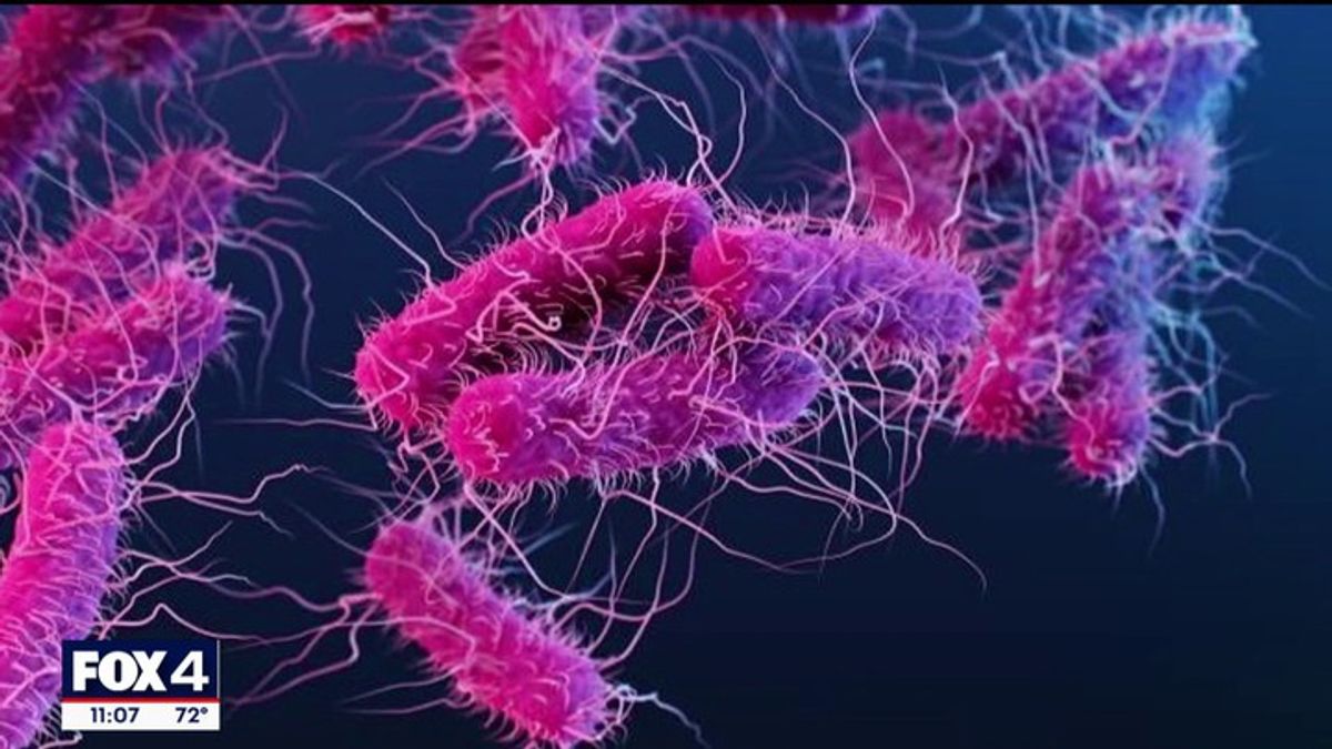 E. coli cases linked to State Fair of Texas rising | Haystack News