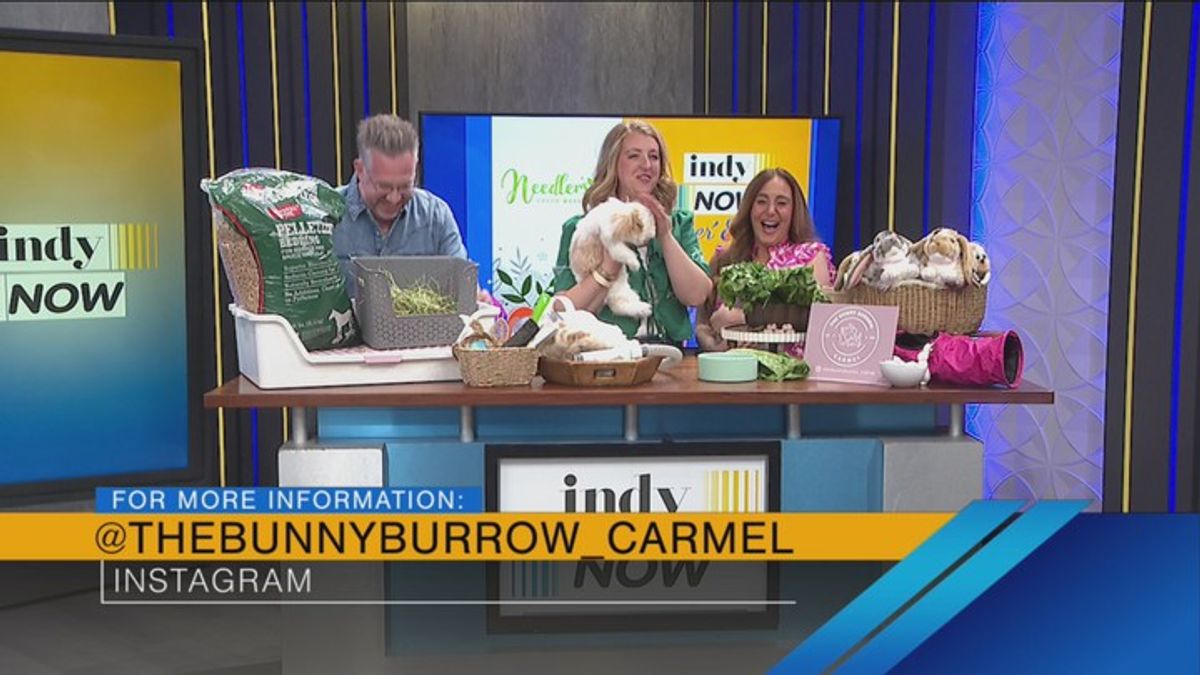 The Bunny Burrow Rabbit Rescue: Bunny Care 101 - 3/25/26 | Haystack News
