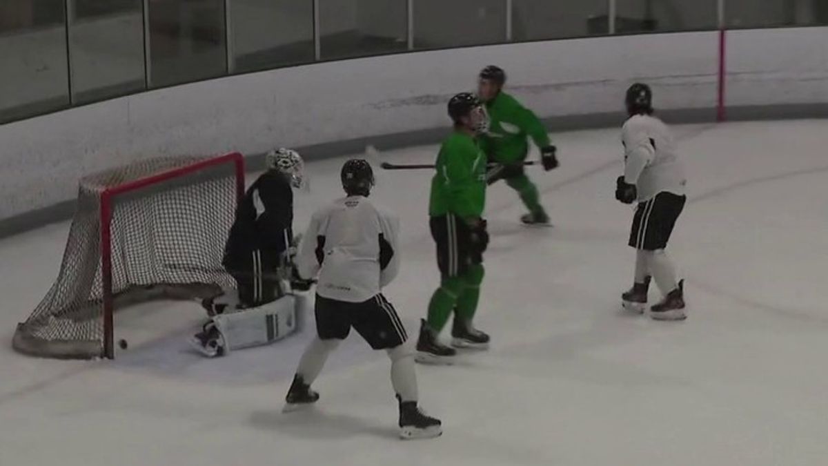Texas Stars gear up for Calder Cup Playoffs | Haystack News