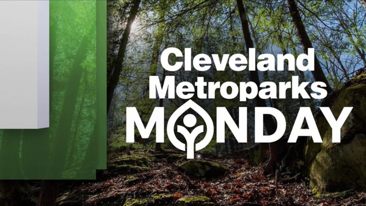 Cleveland Metroparks Monday: Spring at Merwin's Wharf | Haystack News