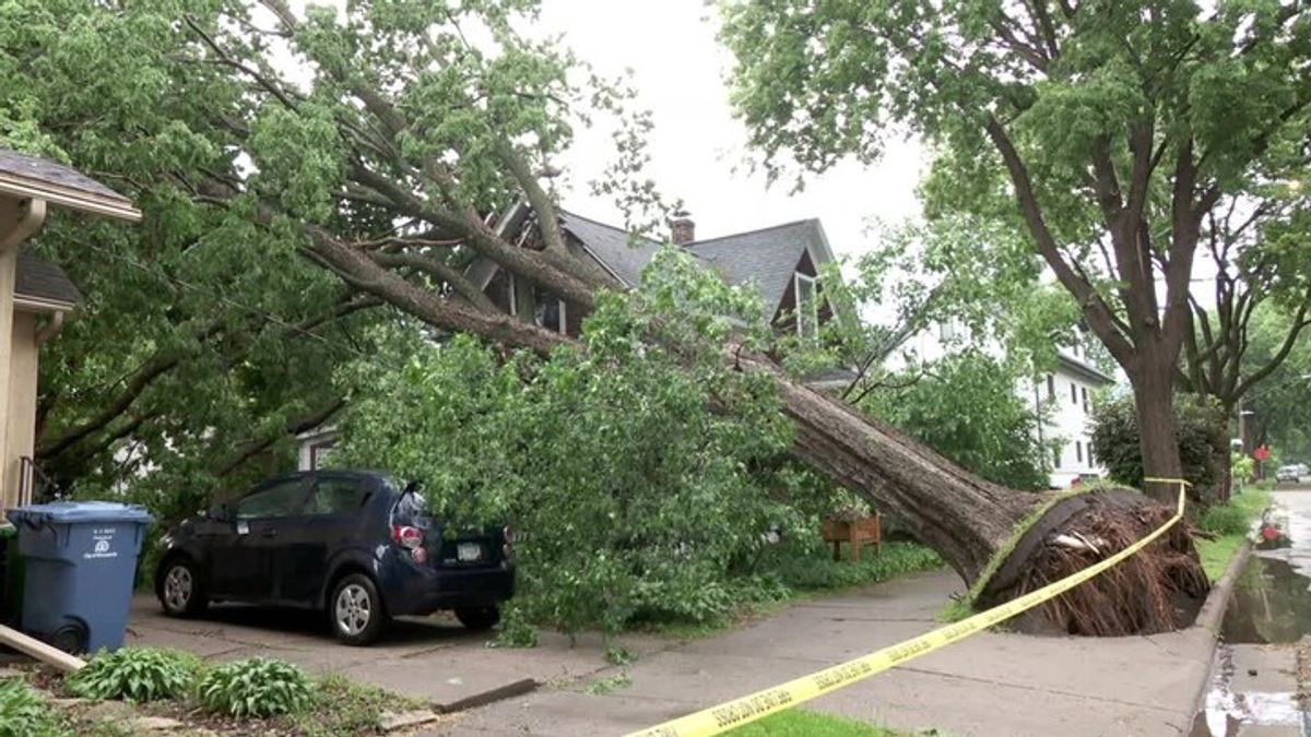 Tree falls onto Minneapolis home during strong storms | Haystack News