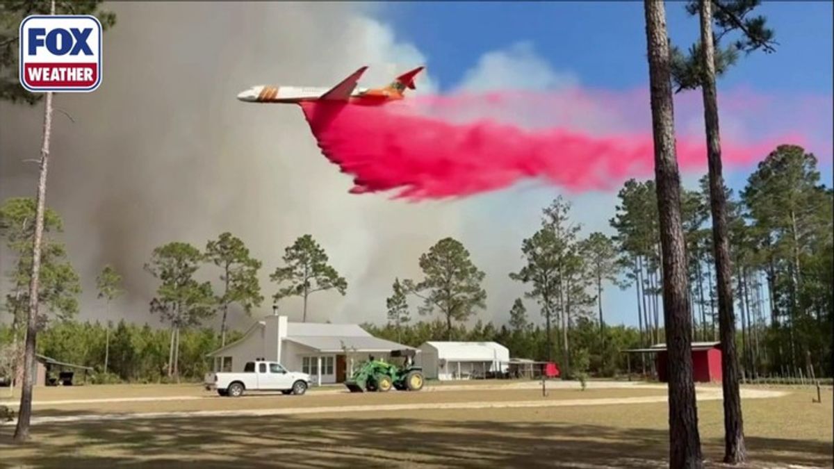 Georgia wildfire fight continues as winds fuel flames amid extreme ...