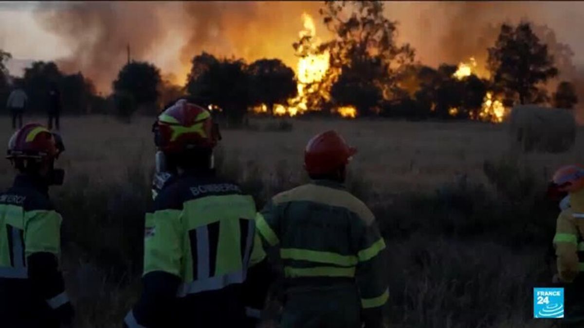 Greek firefighters battle deadly wildfires on Crete for a second day ...