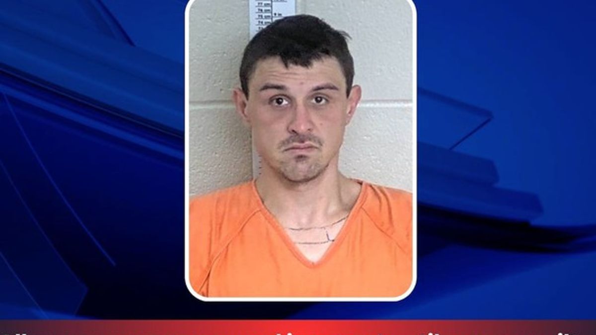 Man allegedly attacked victim with hatchet in domestic violence ...
