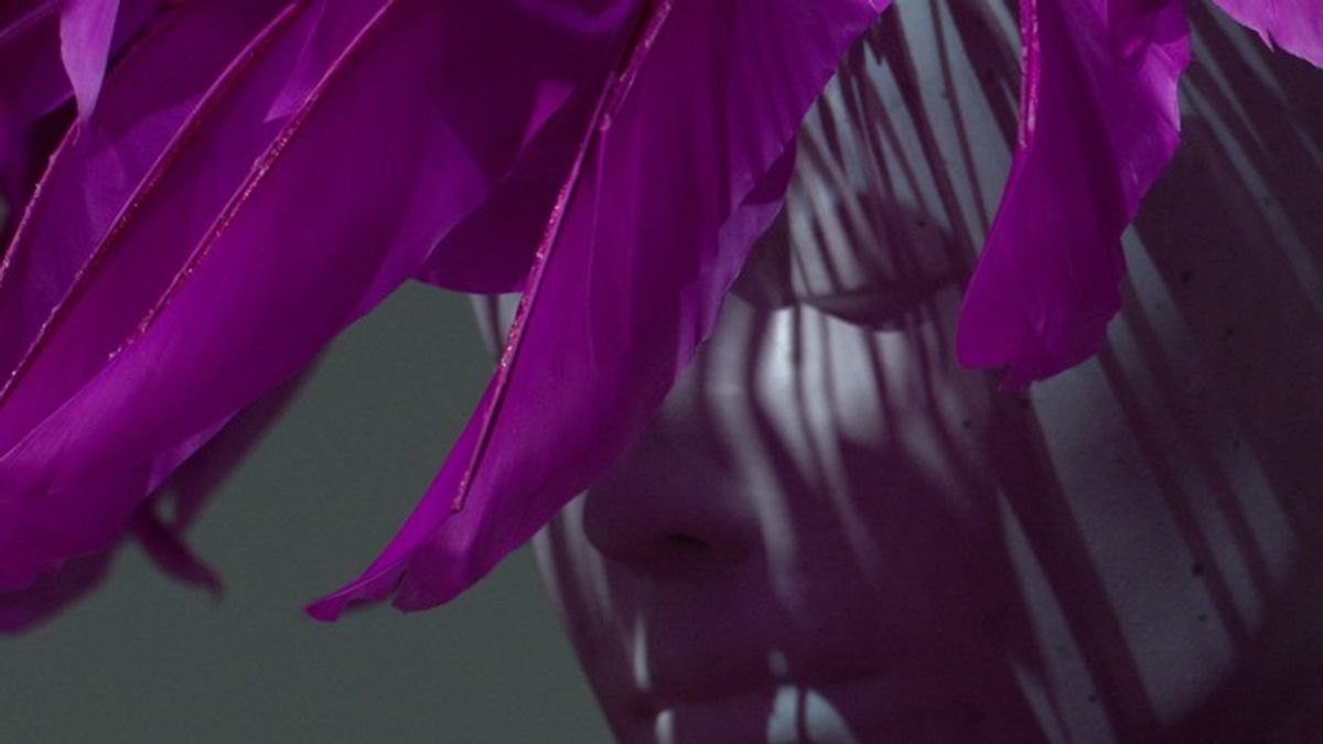 'Paris Couture' exhibit opens at the Minneapolis Institute of Art ...