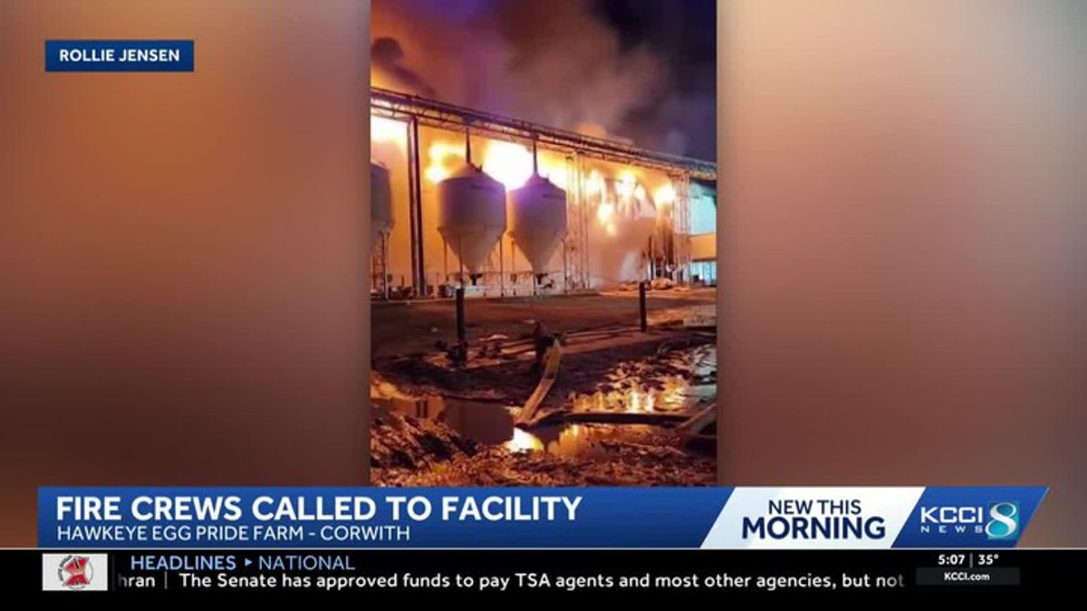 Crews respond to massive fire at north Iowa egg farm | Haystack News