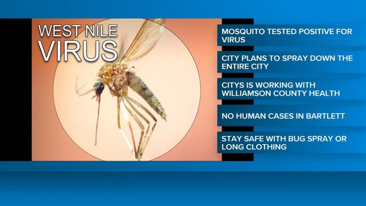 Mosquito with West Nile Virus found in Bartlett | Haystack News