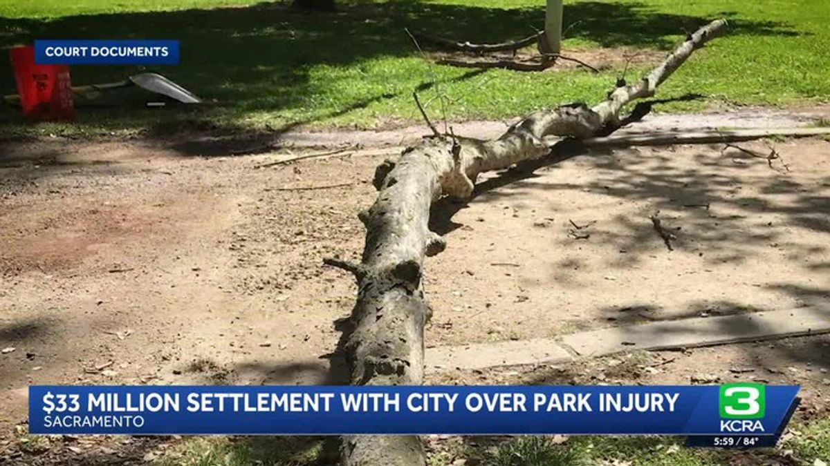 UC Davis graduate awarded $33 million after tree limb causes brain ...