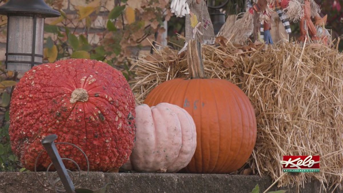 Halloween dangers: E-Bikes & Motorized scooters | Haystack News