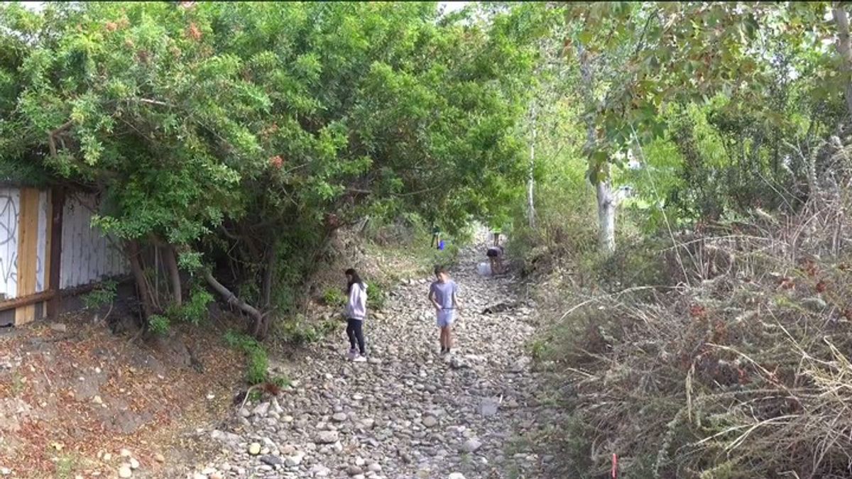 Mira Mesa cleanup taking place Friday, aiming to prevent future ...