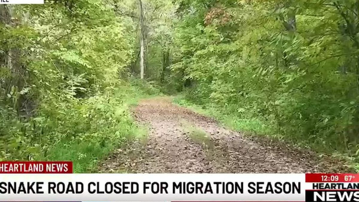 Snake Road to temporarily close for bi-annual migration | Haystack News