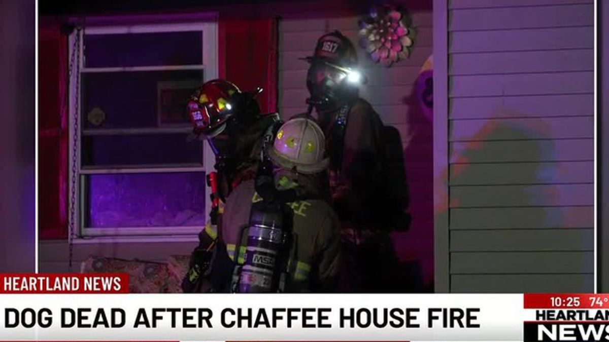 Dog dies in late-night structure fire in Chaffee, Mo. | Haystack News