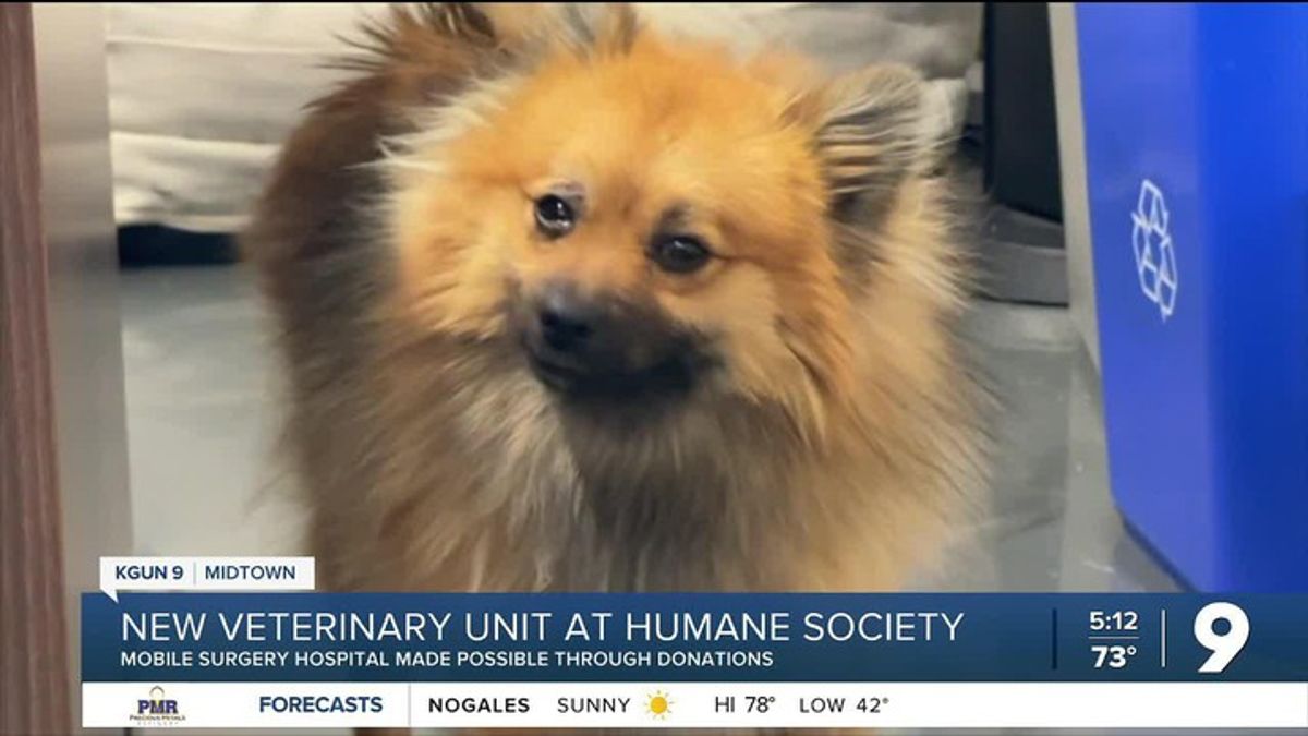 Humane Society brings new meaning to M.A.S.H: Mobile Animal Surgery ...