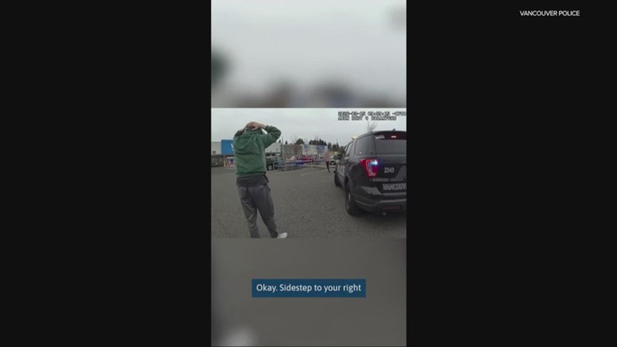 Two juveniles arrested after police find stolen Kia in Vancouver ...