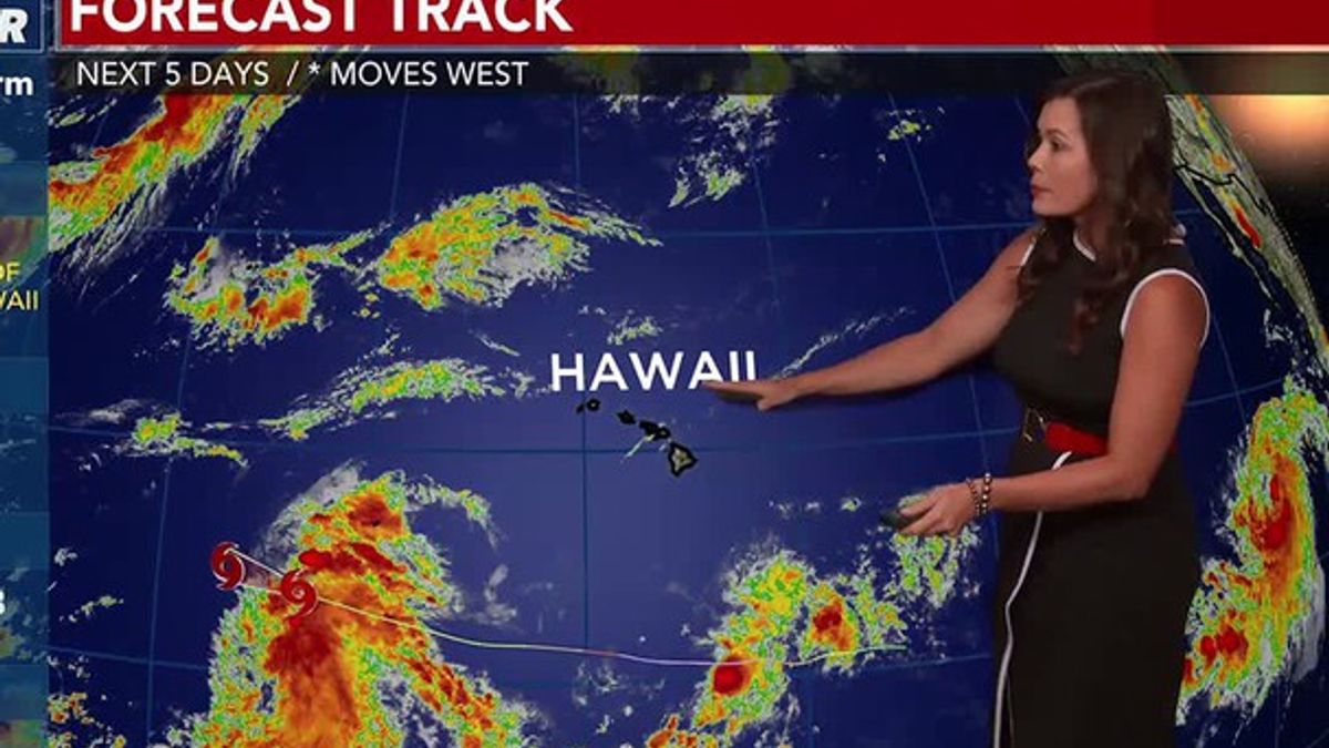 Hawaii News Now at 6:00 p.m. - 7.31 Jen Robbins | Haystack News