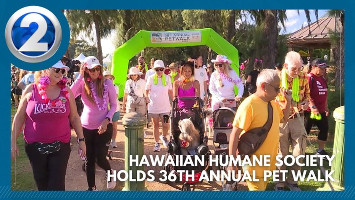 Hawaiian Humane Society holds 36th annual pet walk | Haystack News