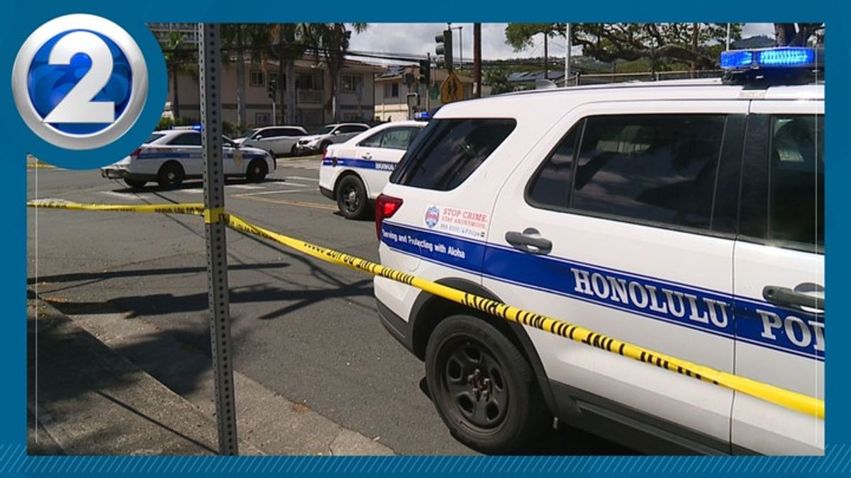State violent crime solve rates have fallen | Haystack News