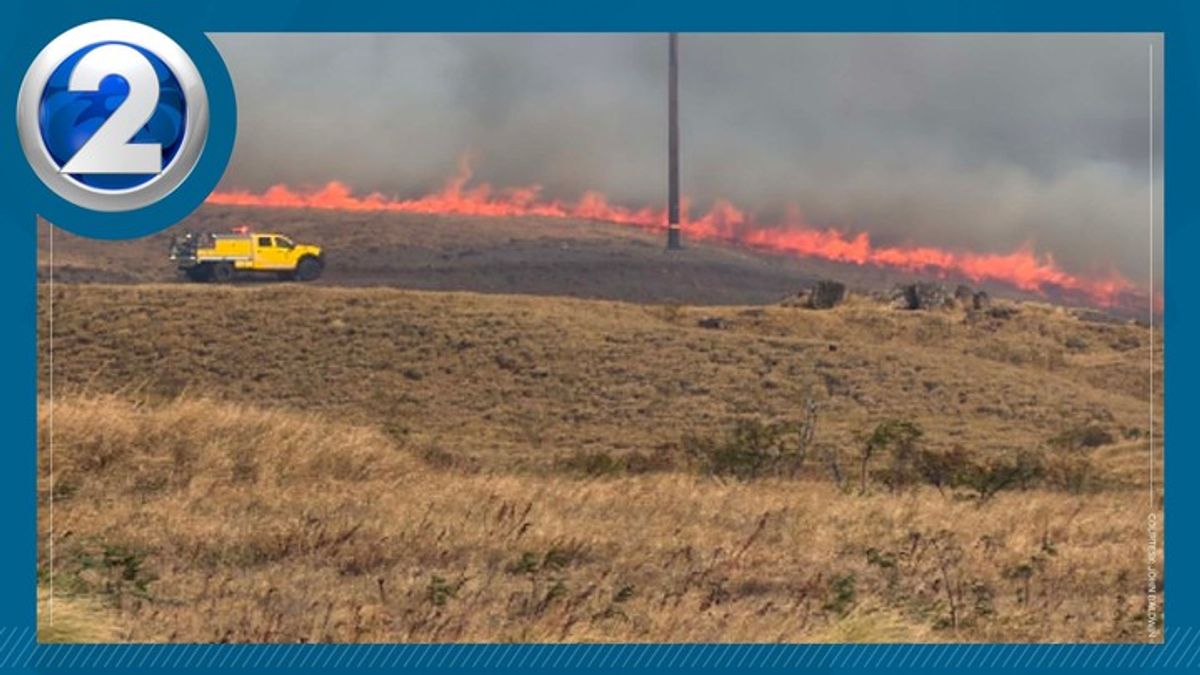 Brush fire in South Kohala prompts road closures | Haystack News
