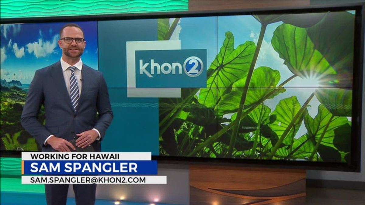 BWS shows how Hawaii Halloween costumes can spark conversation ...