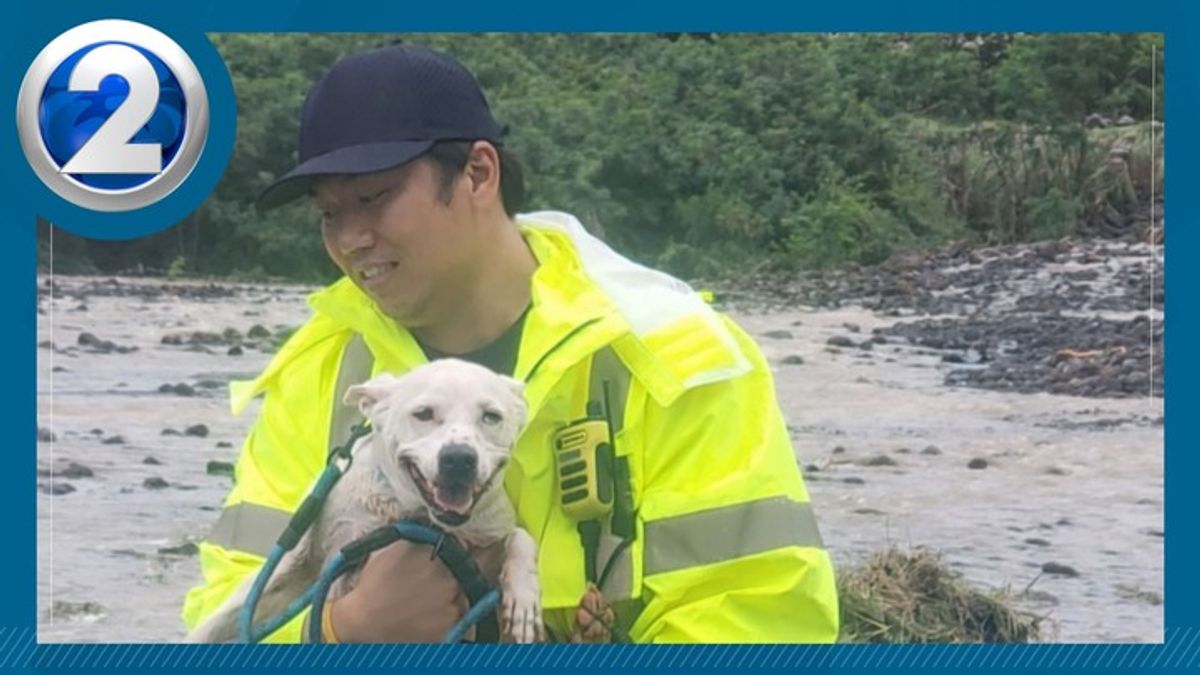 First responders rescue, evacuate dozens including animals across Oʻahu ...