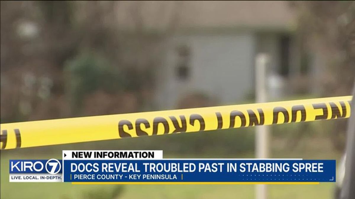 Docs reveal troubled past in stabbing spree | Haystack News