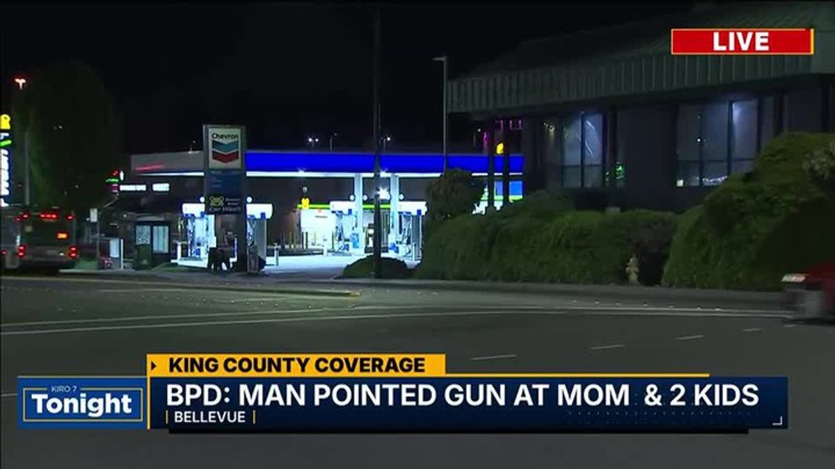 Man accused of pointing gun at mom and kids, yelling racial slurs in ...