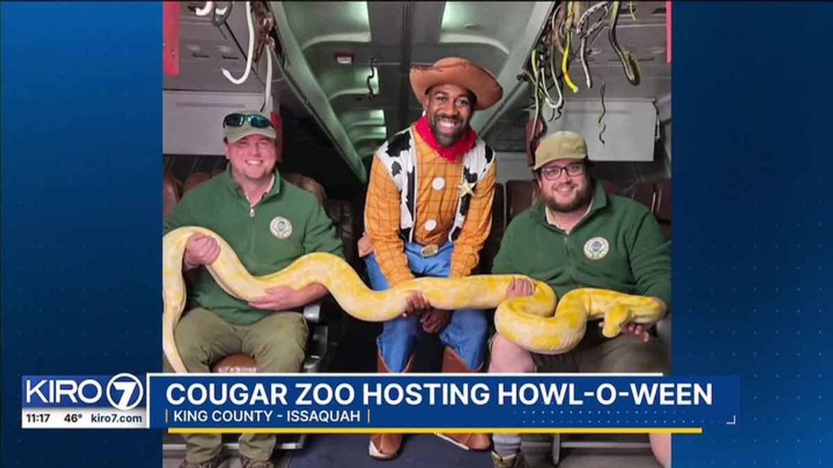Cougar Zoo in Issaquah hosts 'Howloween' | Haystack News