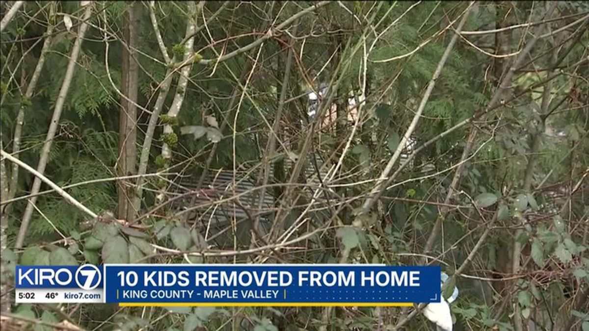 10 children in CPS custody after woman found dead in Maple Valley ...