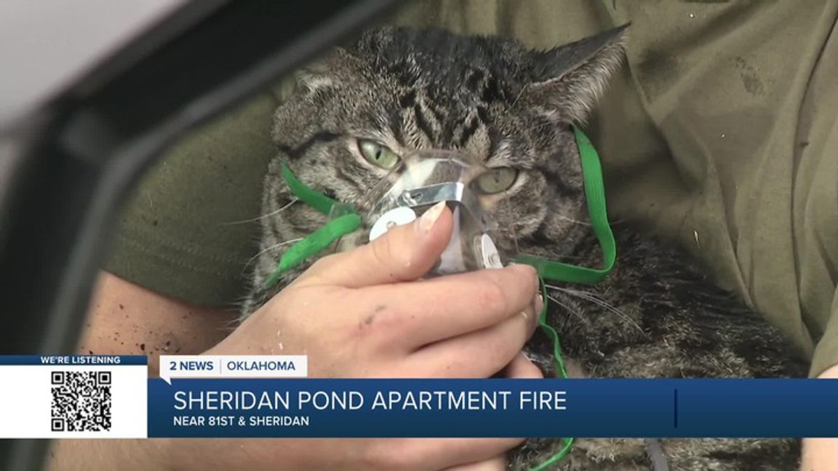 TFD UPDATE: Crews battled massive apartment fire for 90 minutes ...
