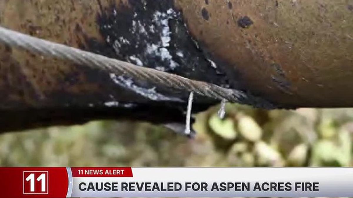 Colorado report finds Aspen Acres Fire was sparked by tree falling onto ...