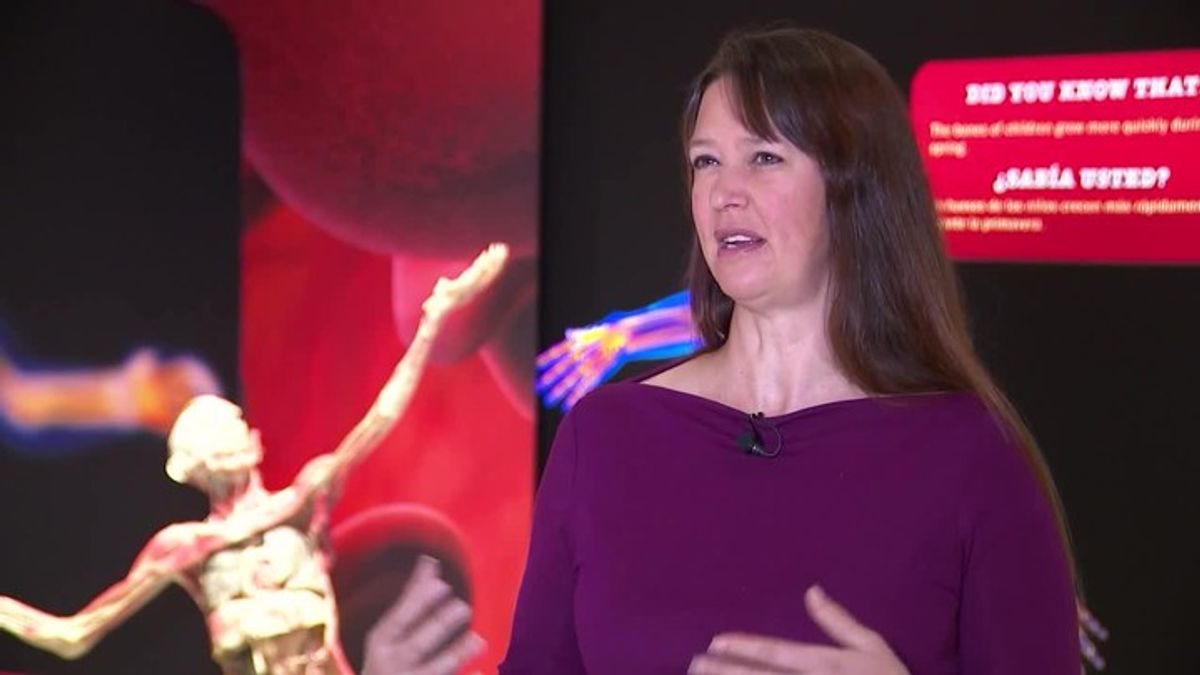 New exhibit is taking Denver inside the human body | Haystack News