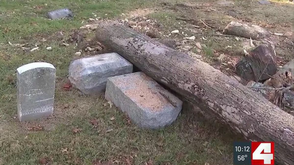 Fallen branches at Calvary Cemetery tied to planned tree removal ...