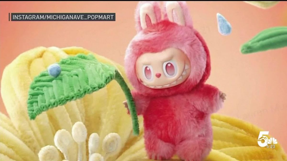 Consumer Alert: Counterfeit Labubu Dolls Pose Serious Choking Risk ...