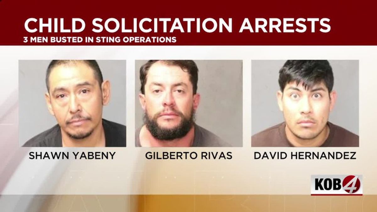 Three men arrested in online predator sting operation | Haystack News