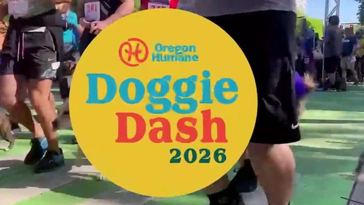 Doggie Dash FOX 12 2026 | Haystack News