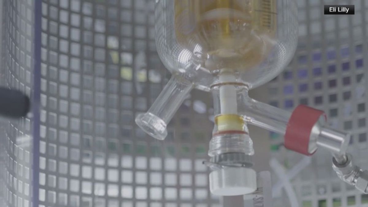 Eli Lilly signs deal on AI discovered drugs | Haystack News