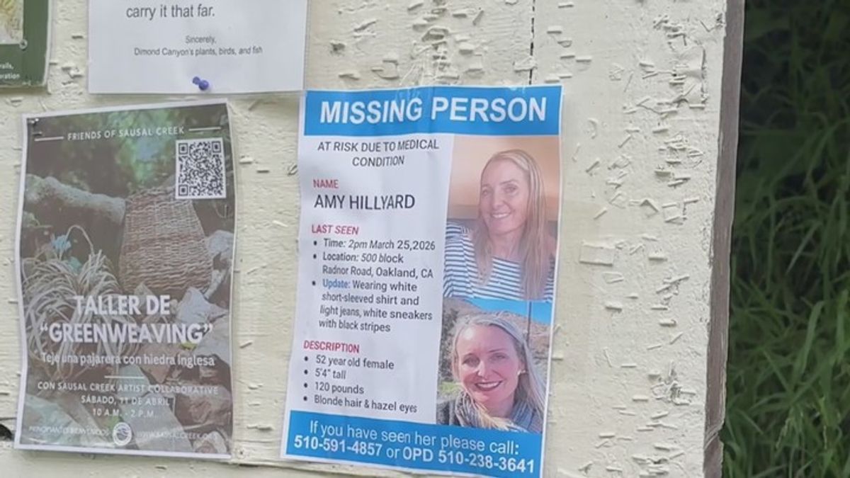Search continues for missing Oakland coffee shop owner Amy Hillyard ...