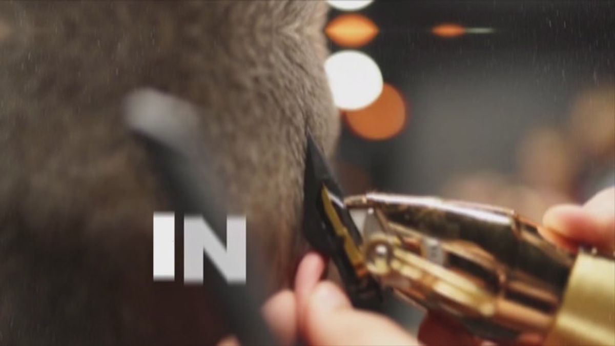 Sponsored: Viral beauty trends spark questions about skin health ...