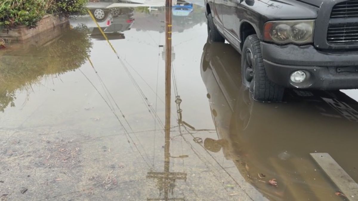 Marin County residents preparing for wet weather | Haystack News