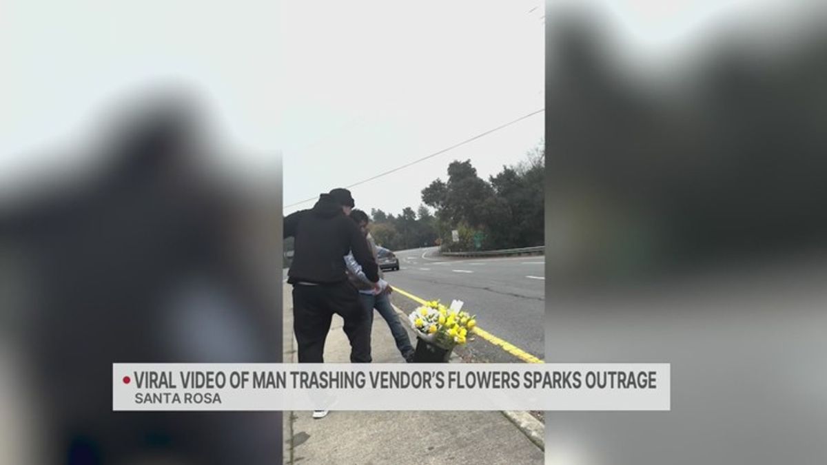 Viral video of man trashing vendor's flowers in Santa Rosa sparks ...