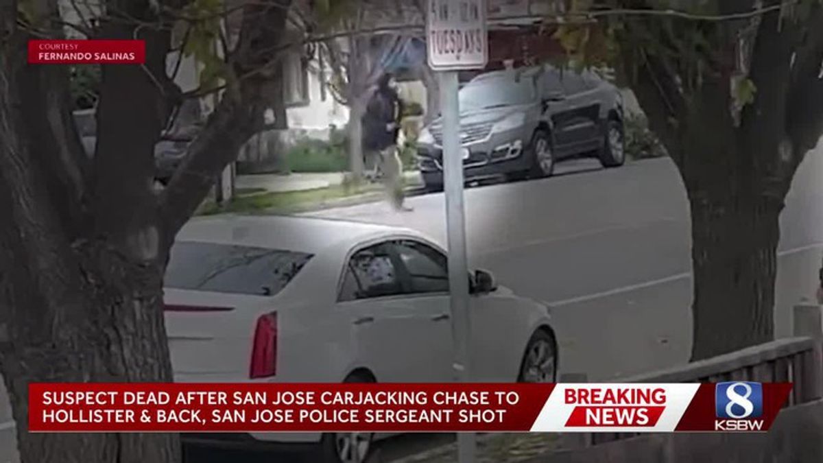 'Straight out of a GTA game': Witnesses describe chase ending in deadly ...
