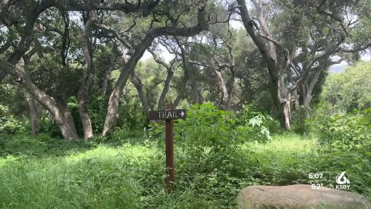 Early rattlesnake season raises concerns for Central Coast hikers ...