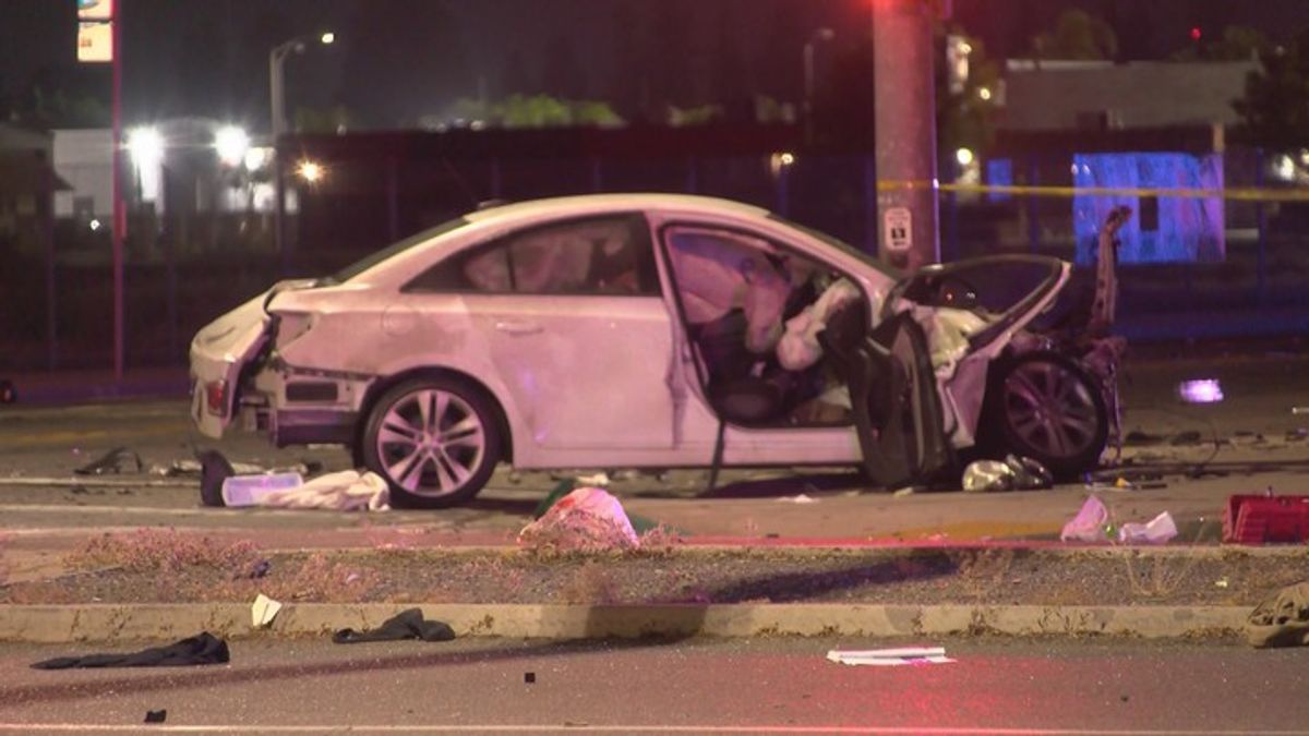 DA: Suspected DUI driver charged with murder, animal cruelty after ...