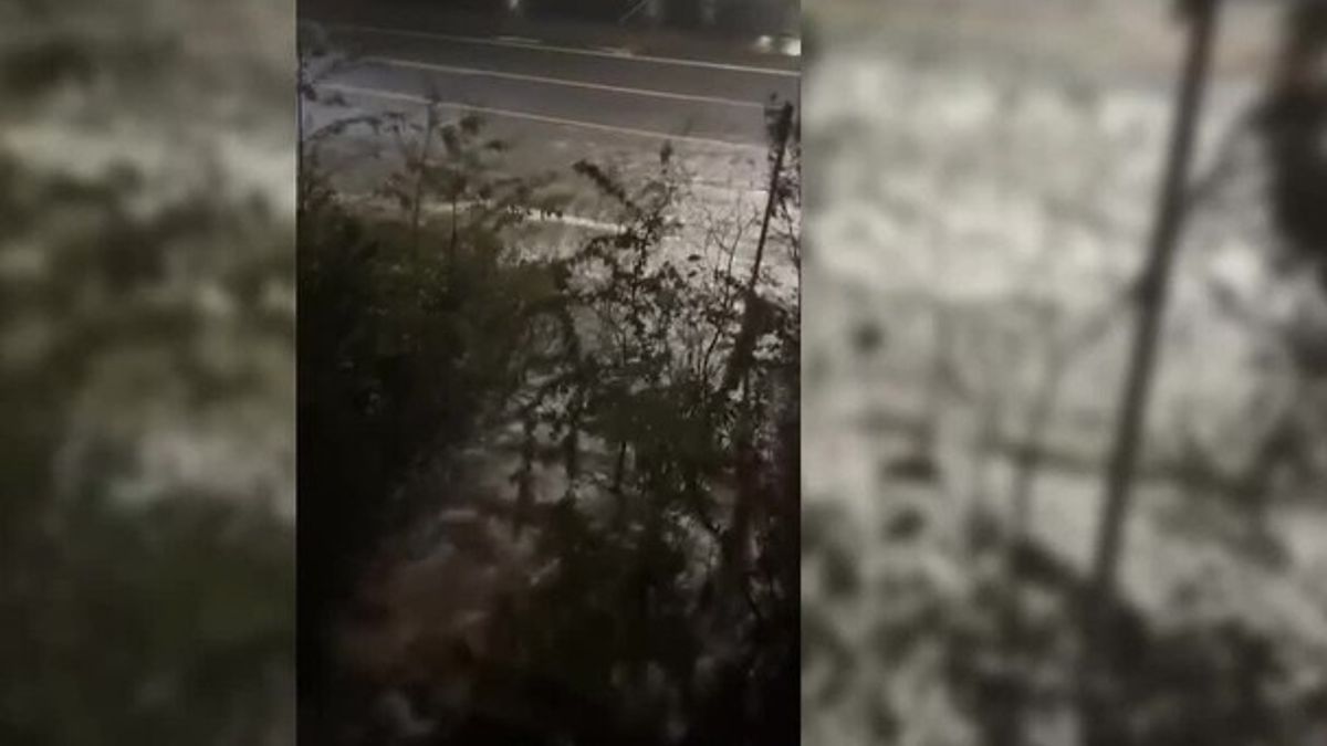Ketchikan declares state of emergency after landslide knocks out Ward ...