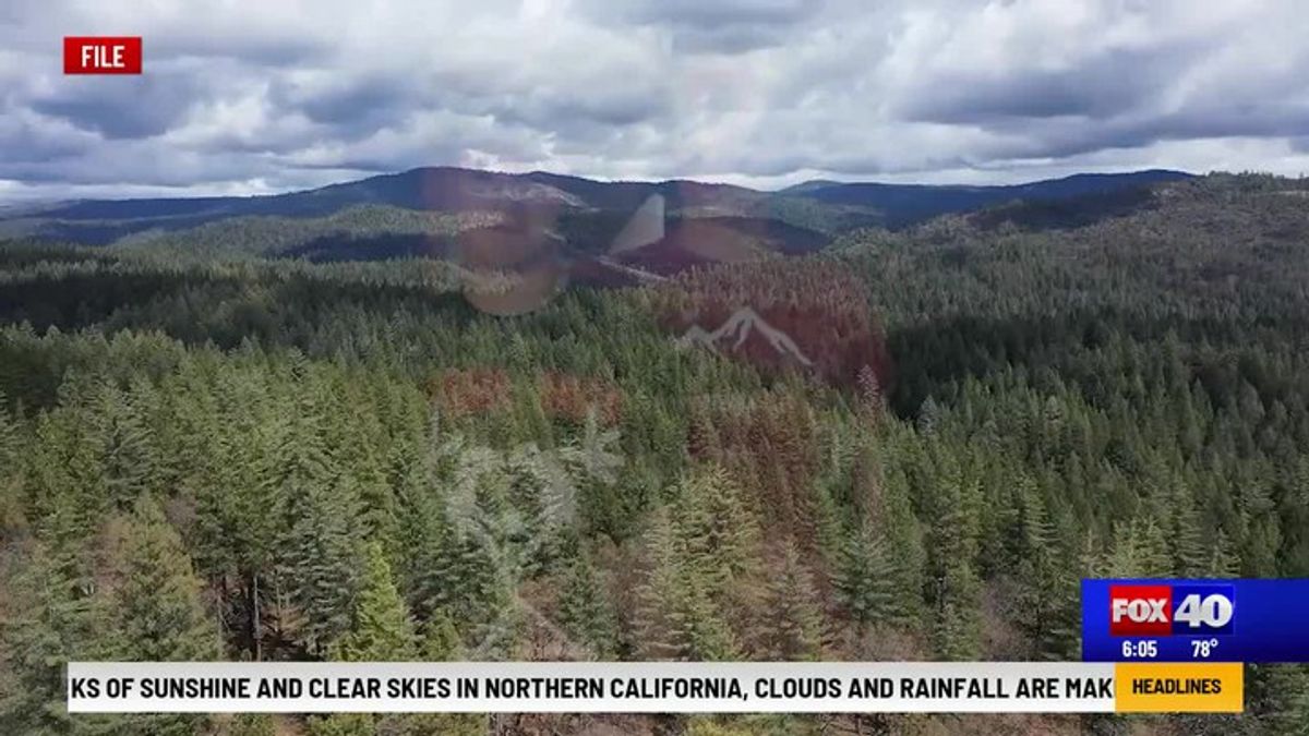 One year since two brothers were attacked by a mountain lion | Haystack ...