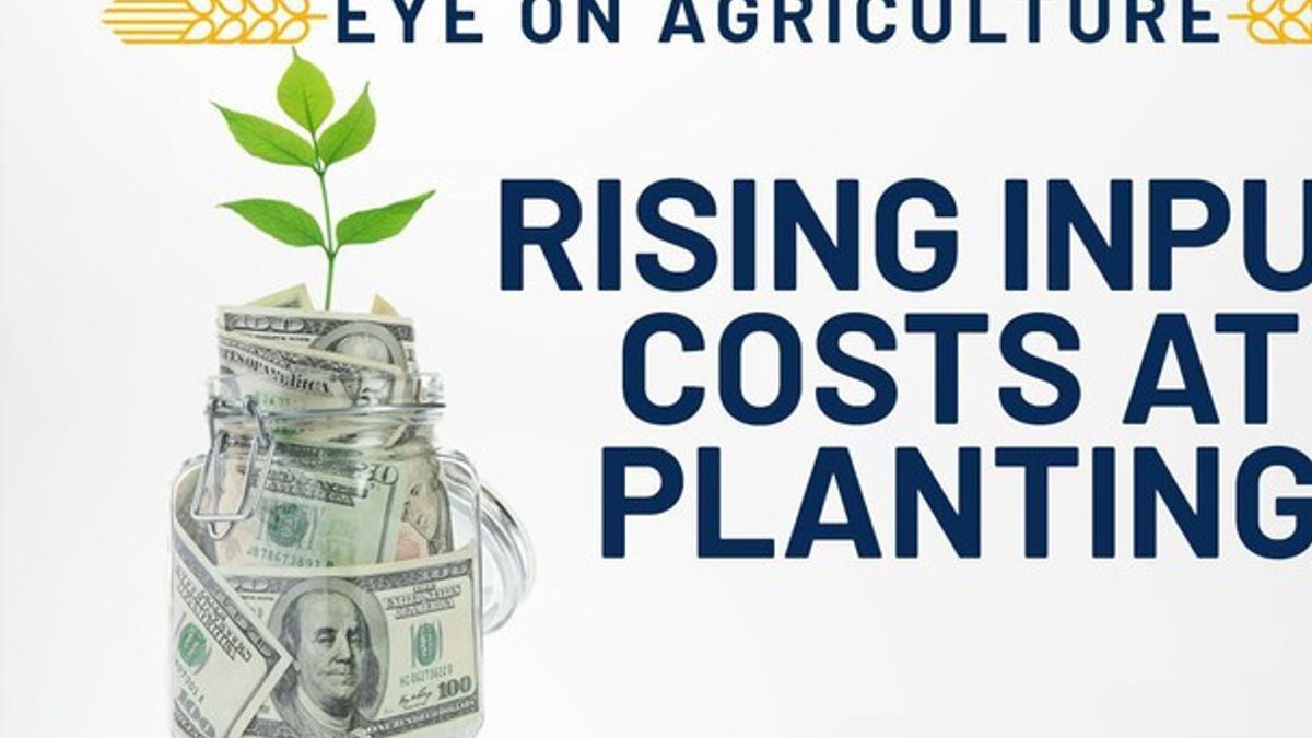 Rising Input Costs at Planting | Haystack News